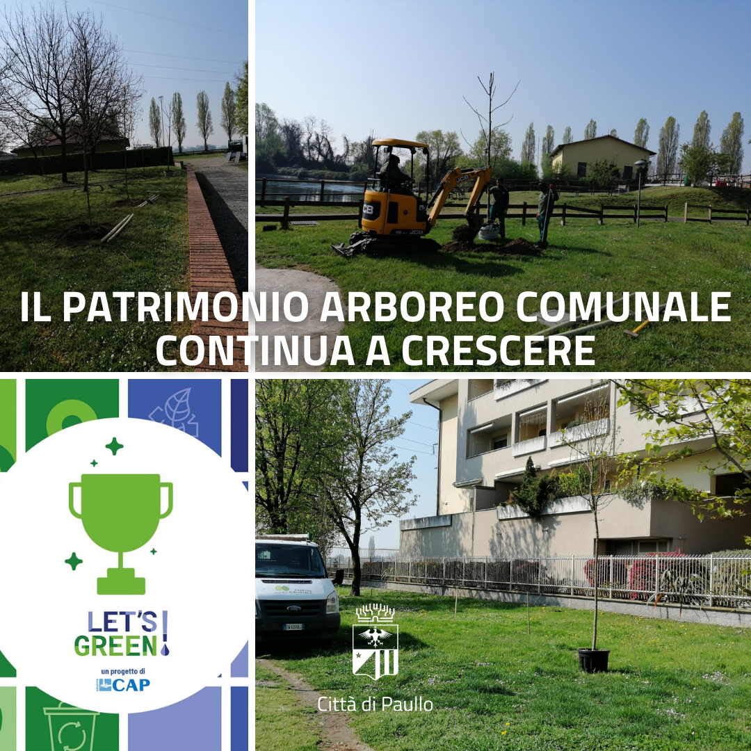 Let's Green: continua a crescere il patrimonio arboreo comunale