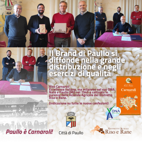 Paullo è Carnaroli: il brand della città tutelato e valorizzato