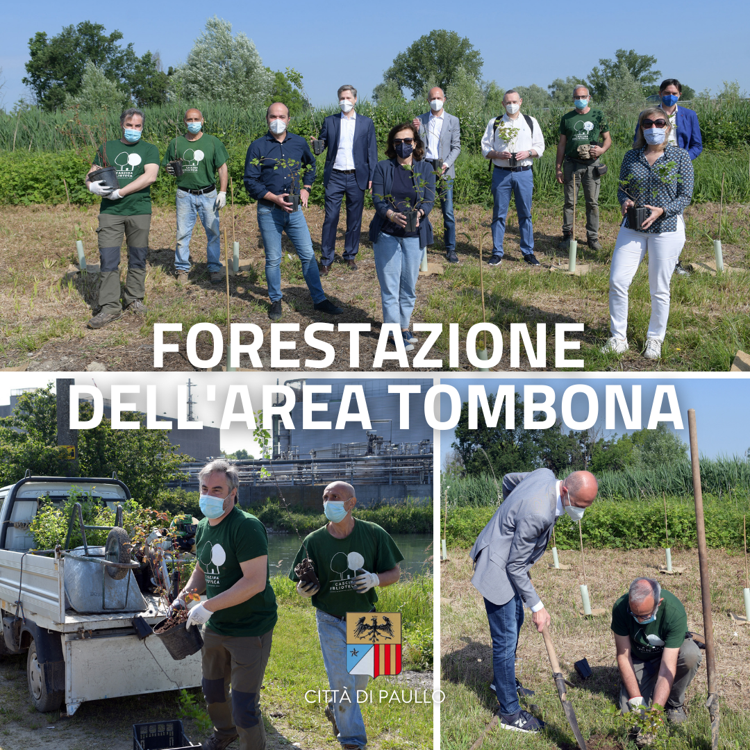 Avviati i lavori di forestazione dell'area Tombona