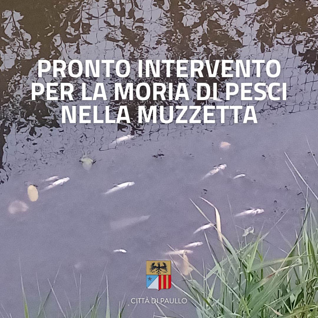Pronto intervento per moria di pesci nella Muzzetta